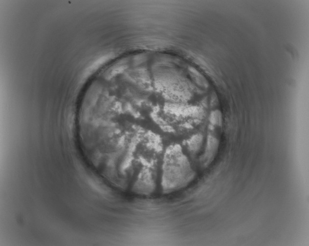 X0000113600679200910161906