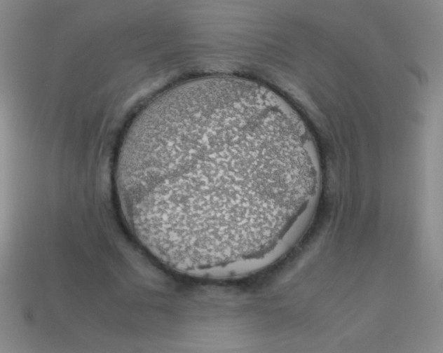 X0000113600681200910161906