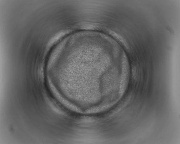 X0000113600682200910161906