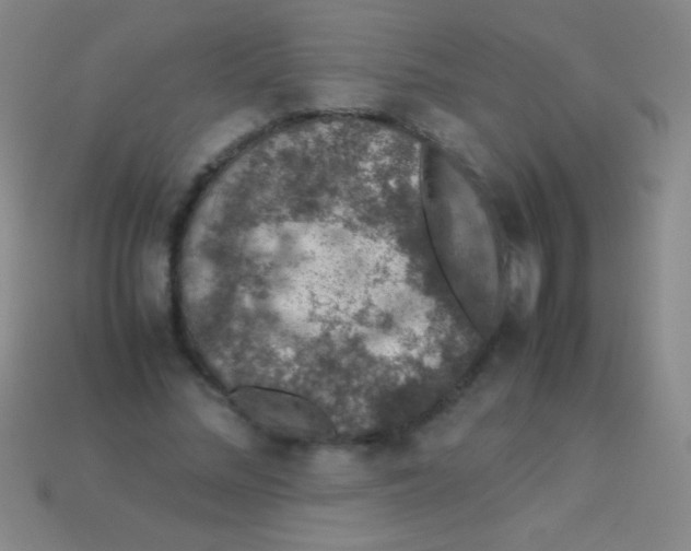 X0000113600684200910161906