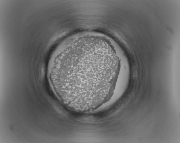 X0000113600685200910161906