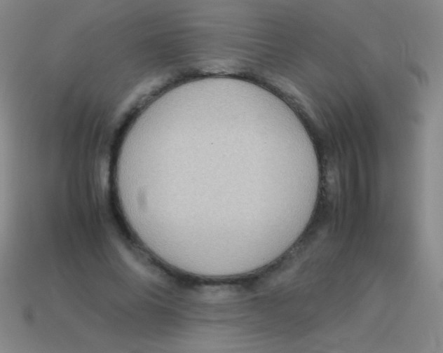 X0000113600686200910161906