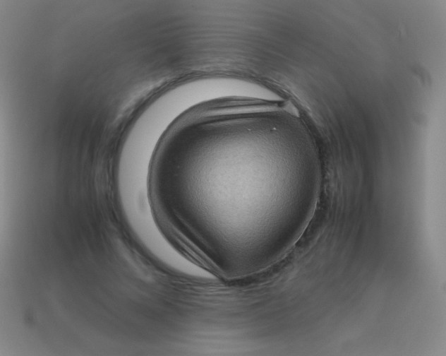 X0000113600688200910161906