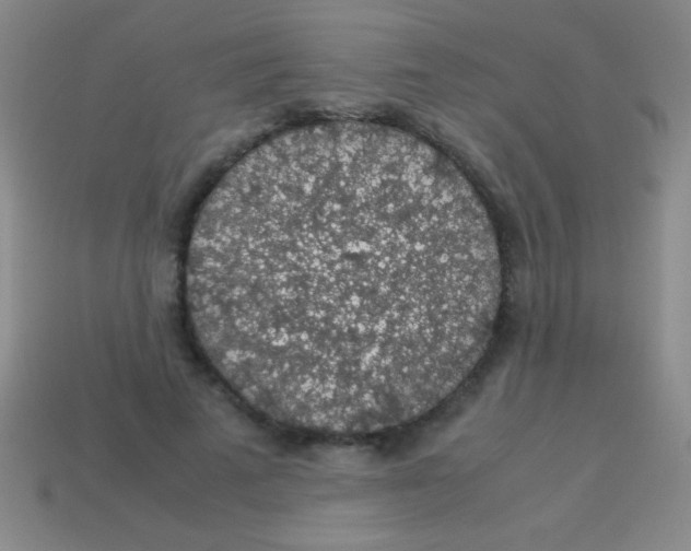 X0000113600689200910161906