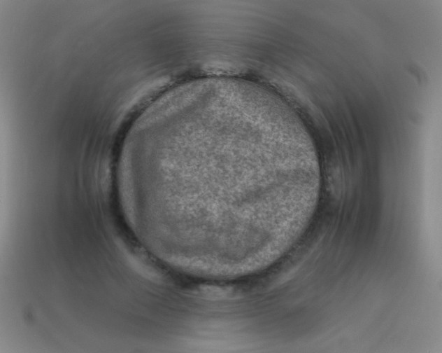 X0000113600690200910161906