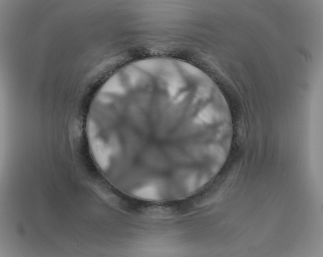 X0000113600691200910161906