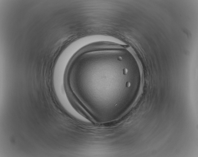 X0000113600693200910161906