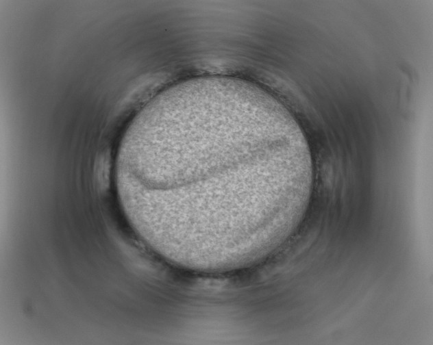 X0000113600694200910161906