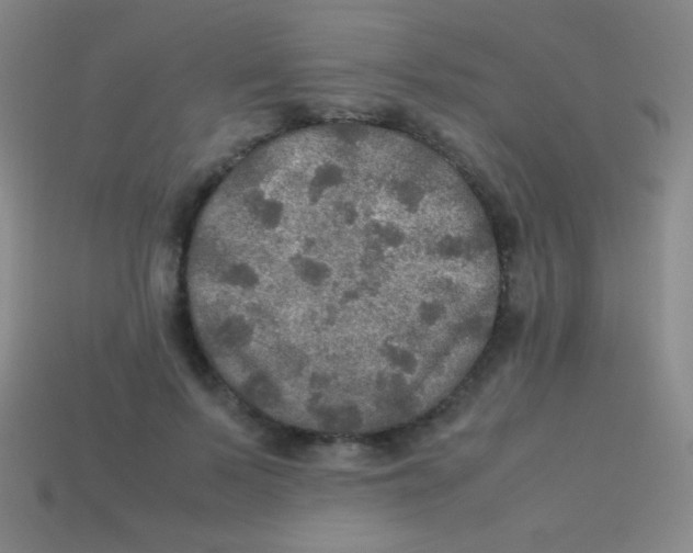 X0000113600695200910161906