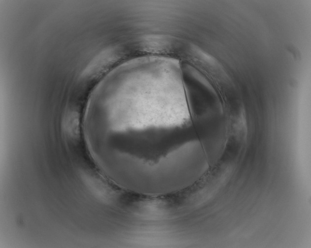 X0000113600696200910161906