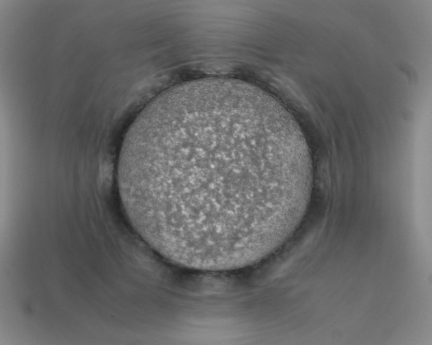 X0000113600697200910161906