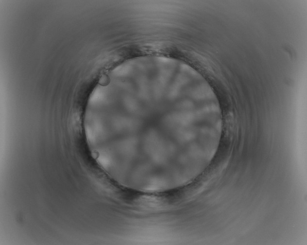 X0000113600699200910161906