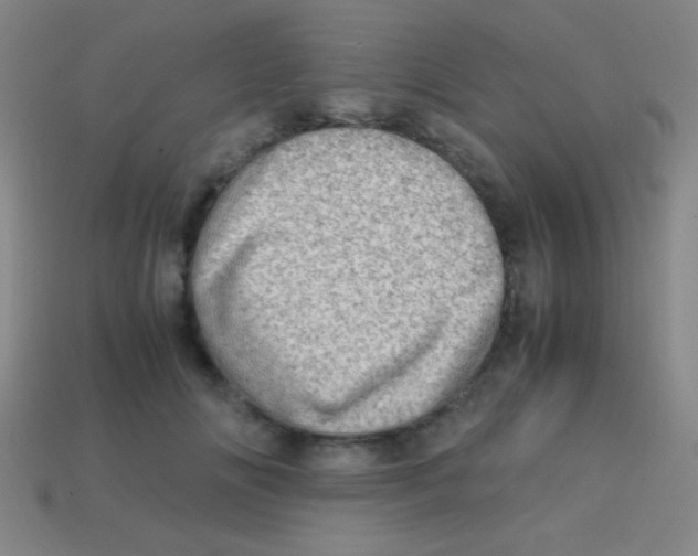 X0000113600702200910161906