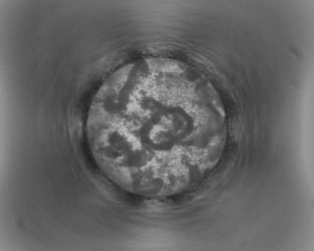 X0000113600703200910161906