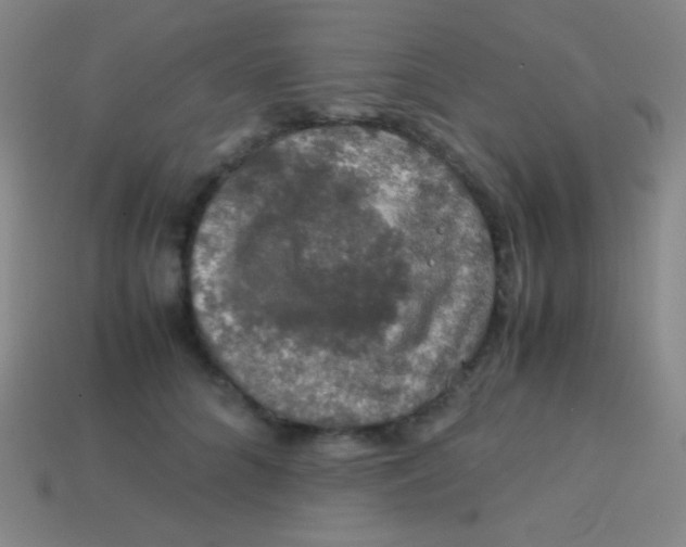 X0000113600704200910161906