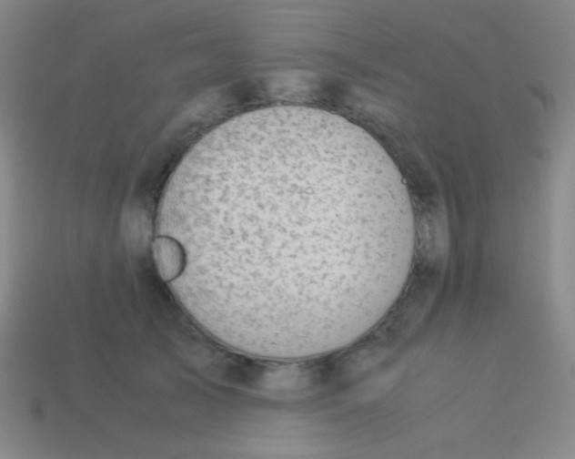 X0000113600705200910161906