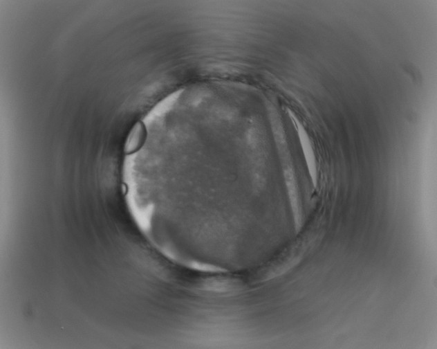 X0000113600708200910161905