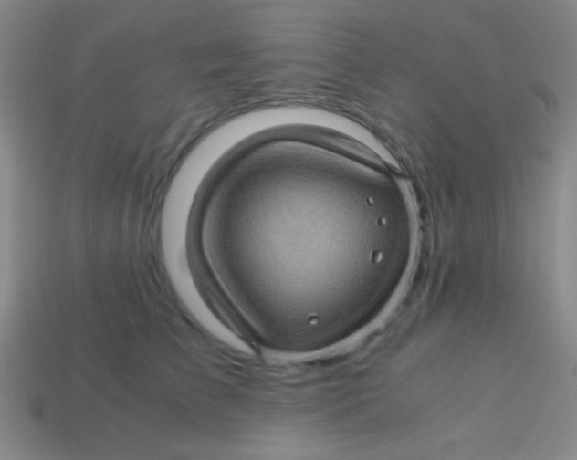 X0000113600709200910161905