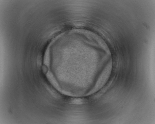 X0000113600710200910161905