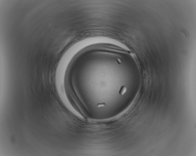 X0000113600712200910161905