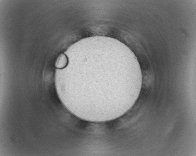 X0000113600713200910161905