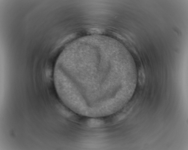 X0000113600714200910161905