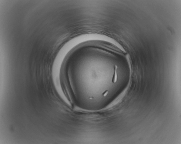 X0000113600716200910161905