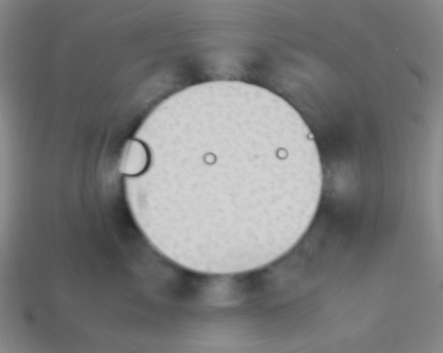 X0000113600717200910161905