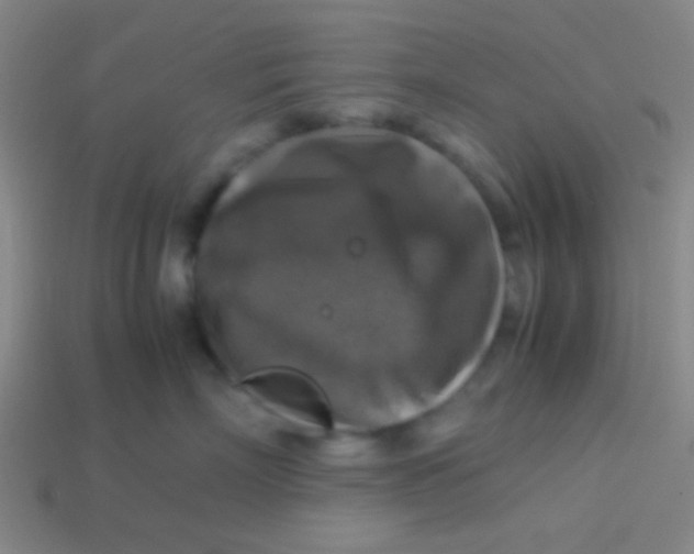 X0000113600718200910161905