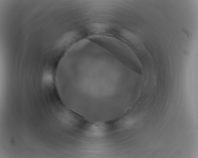 X0000113600720200910161905