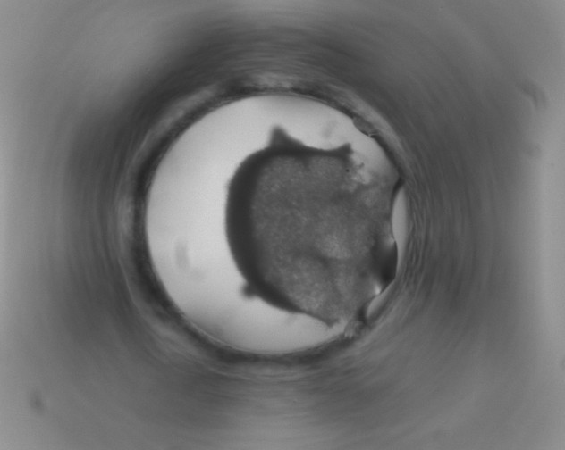 X0000113600722200910161904