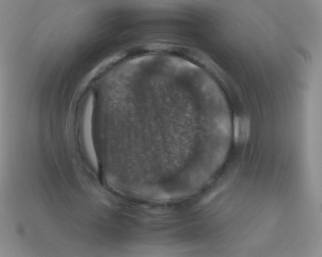 X0000113600723200910161904