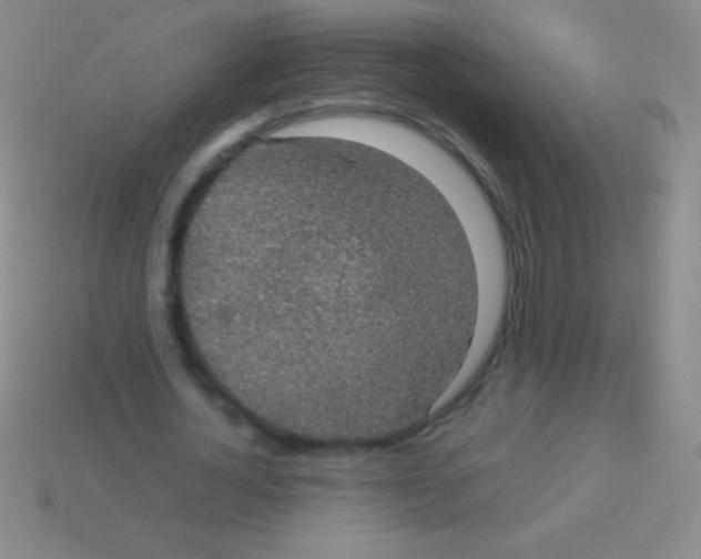 X0000113600724200910161904