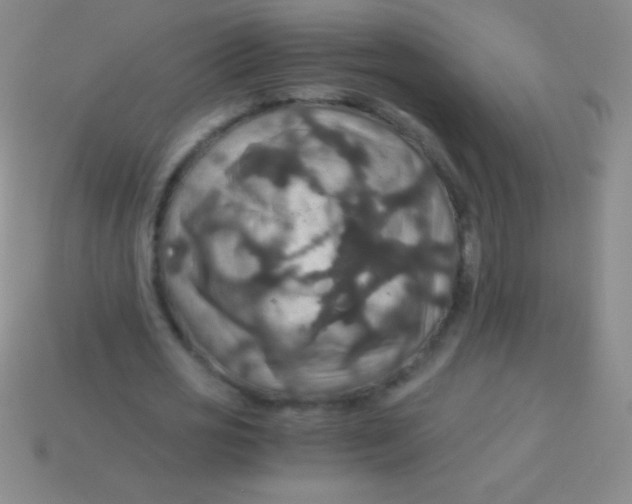 X0000113600725200910161905