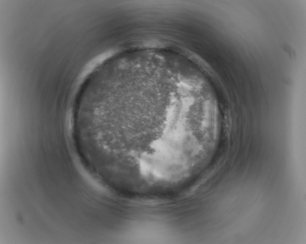 X0000113600726200910161905