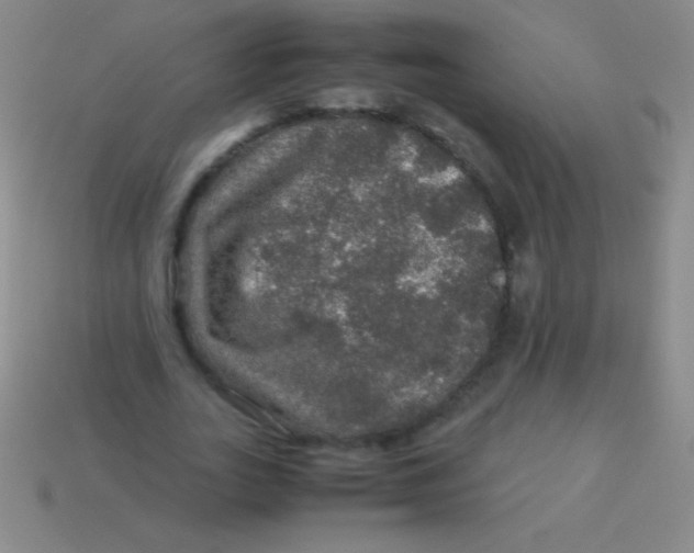 X0000113600727200910161905