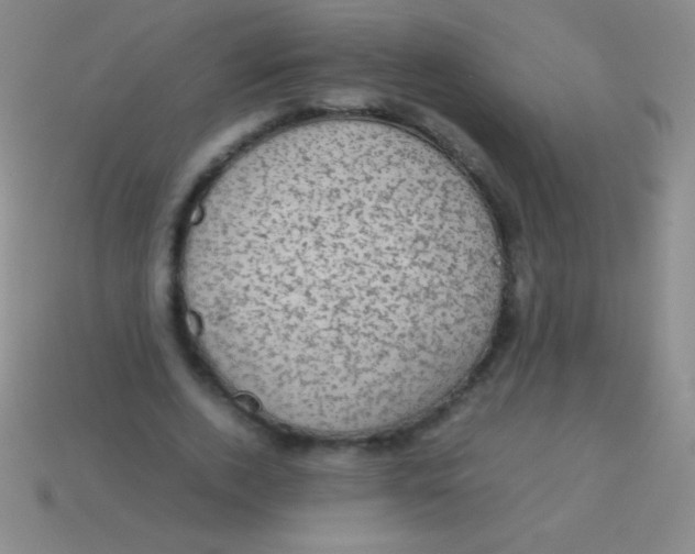 X0000113600728200910161905