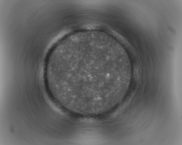 X0000113600730200910161905