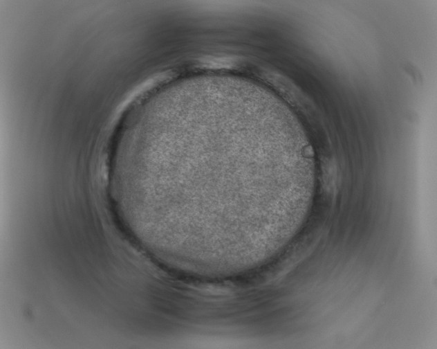 X0000113600731200910161905