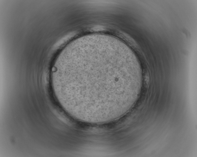 X0000113600732200910161905