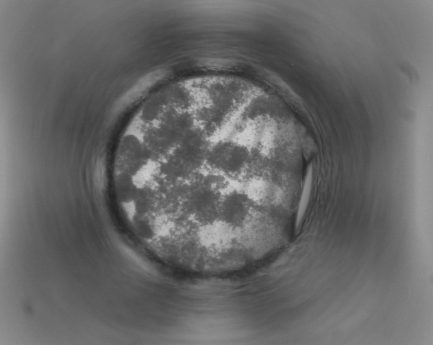 X0000113600734200910161905