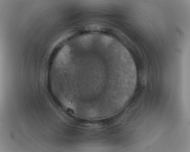 X0000113600735200910161905