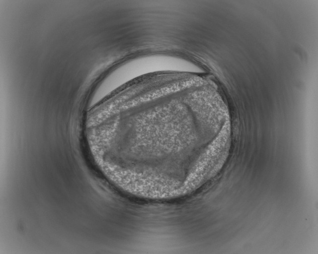 X0000113600736200910161905