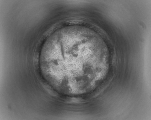 X0000113600737200910161905