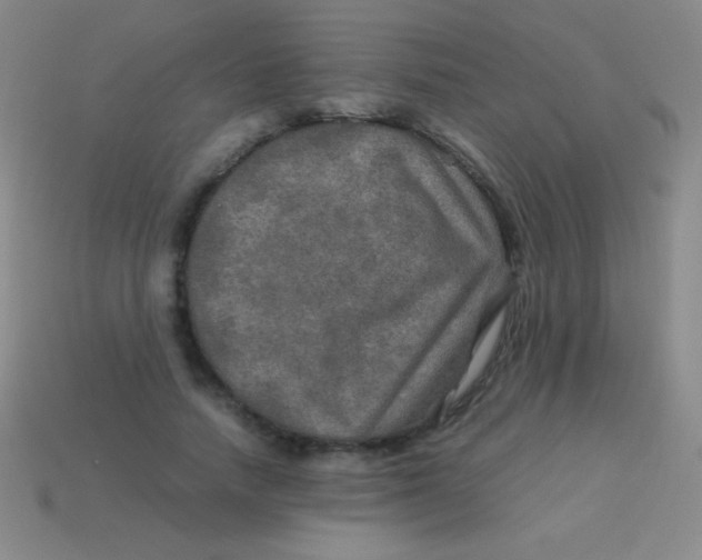 X0000113600738200910161905