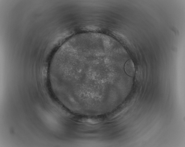 X0000113600739200910161905