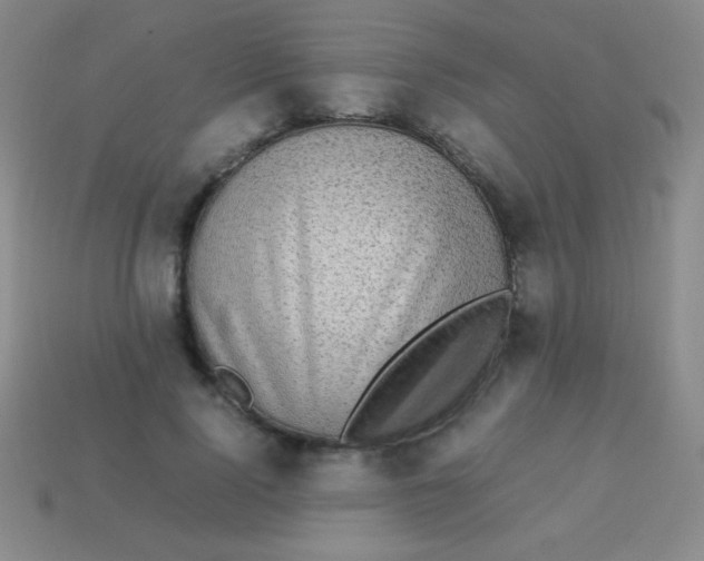 X0000113600740200910161905