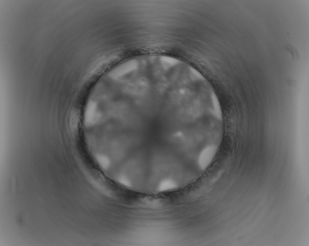 X0000113600742200910161905