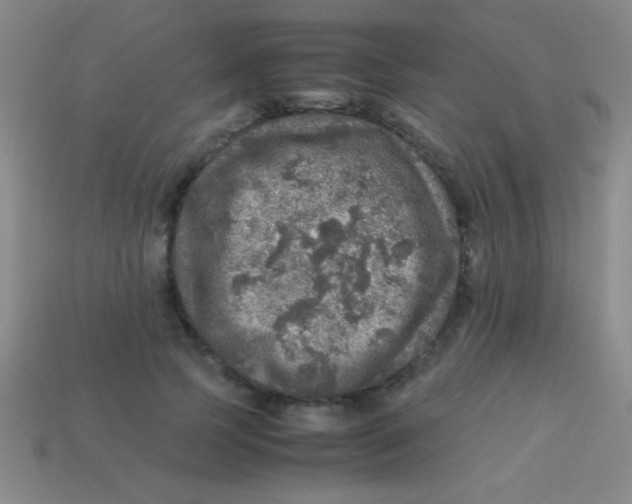 X0000113600745200910161905