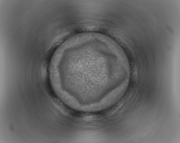 X0000113600746200910161905